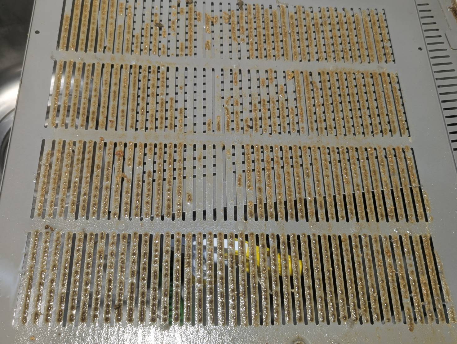 レンジフード Before
